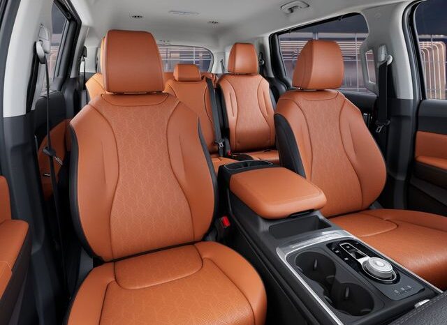 
 Kia Carnival Hybrid full									