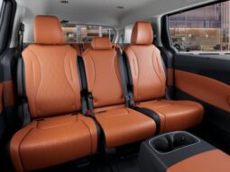 
 Kia Carnival Hybrid full									