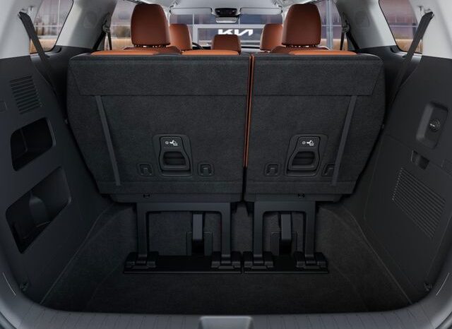 
 Kia Carnival Hybrid full									