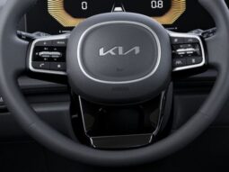 
 Kia Carnival Hybrid full									