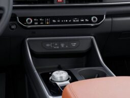 
 Kia Carnival Hybrid full									