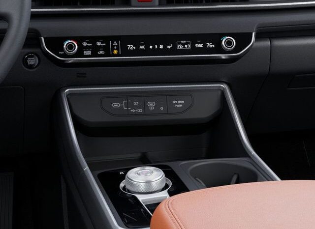 
 Kia Carnival Hybrid full									