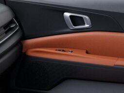 
 Kia Carnival Hybrid full									