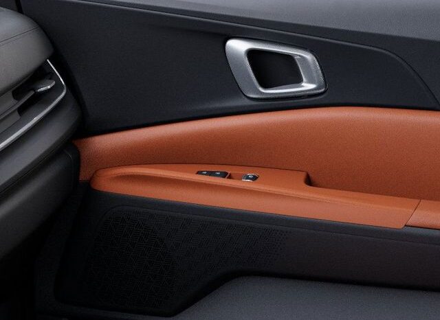 
 Kia Carnival Hybrid full									