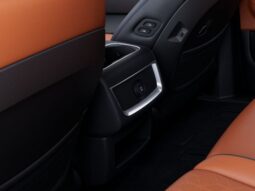 
 Kia Carnival Hybrid full									