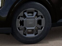 
 Kia Carnival Hybrid full									