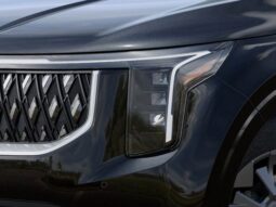 
 Kia Carnival Hybrid full									