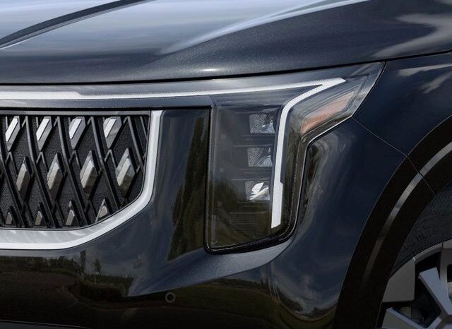 
 Kia Carnival Hybrid full									