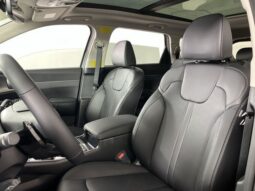 
 Kia Sorento Hybrid full									