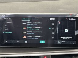 
 Kia Sorento Hybrid full									