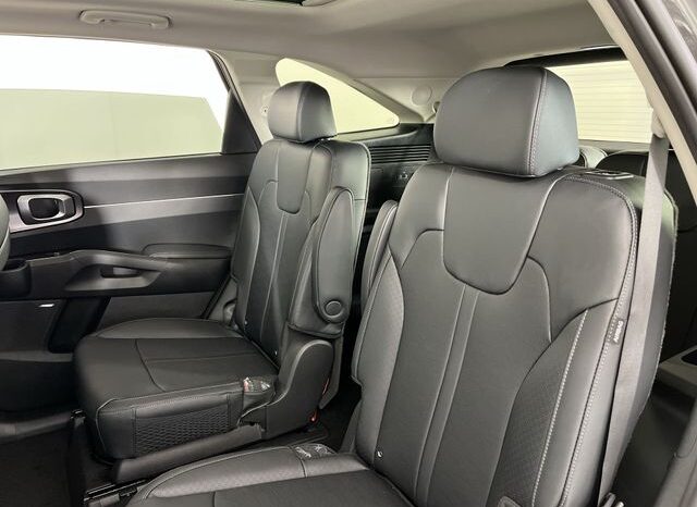 
 Kia Sorento Hybrid full									