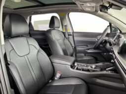 
 Kia Sorento Hybrid full									