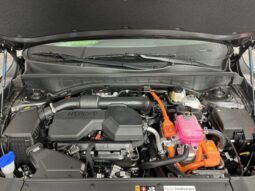 
 Kia Sorento Hybrid full									