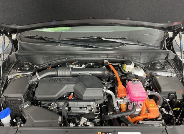 
 Kia Sorento Hybrid full									