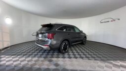 
 Kia Sorento Hybrid full									