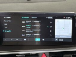 
 Kia Sorento Hybrid full									