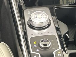 
 Kia Sorento Hybrid full									