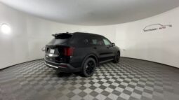 
 Kia Sorento Hybrid full									