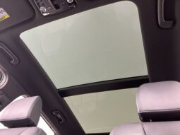 
 Kia Sorento Hybrid full									