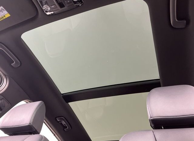 
 Kia Sorento Hybrid full									