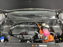 
 Kia Sorento Hybrid full									