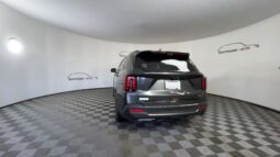 
 Kia Sorento Hybrid full									