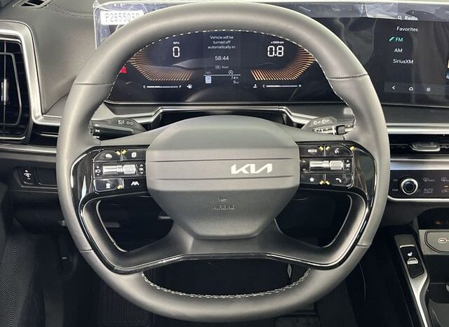 
 Kia Sorento full									