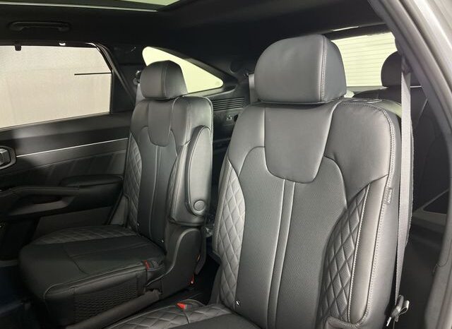 
 Kia Sorento Hybrid full									