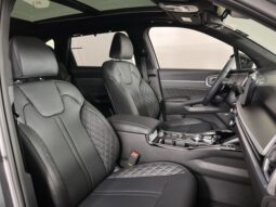 
 Kia Sorento Hybrid full									