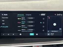 
 Kia Sorento Hybrid full									