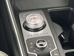 
 Kia Sorento Hybrid full									