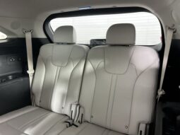 
 Kia Sorento Hybrid full									