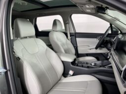 
 Kia Sorento Hybrid full									