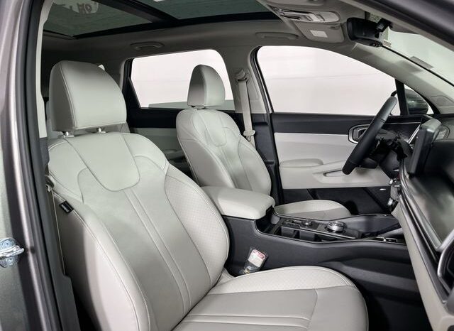 
 Kia Sorento Hybrid full									