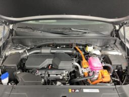 
 Kia Sorento Hybrid full									