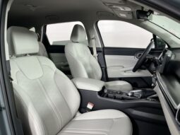 
 Kia Sorento Hybrid full									