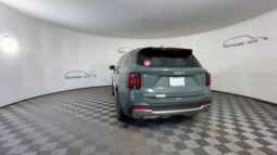 
 Kia Sorento Hybrid full									