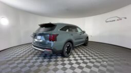 
 Kia Sorento Hybrid full									