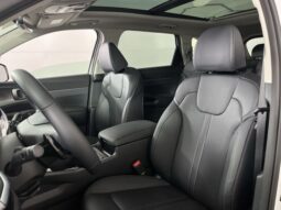 
 Kia Sorento Hybrid full									