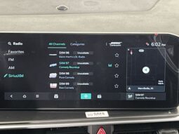 
 Kia Sorento Hybrid full									