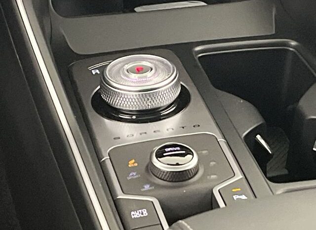 
 Kia Sorento Hybrid full									