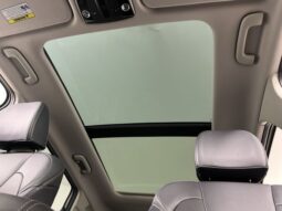 
 Kia Sorento Hybrid full									