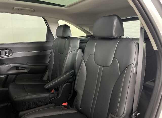 
 Kia Sorento Hybrid full									