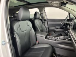 
 Kia Sorento Hybrid full									