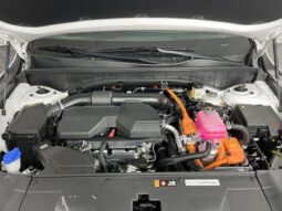 
 Kia Sorento Hybrid full									