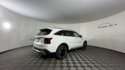 
 Kia Sorento Hybrid full									