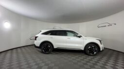 
 Kia Sorento Hybrid full									