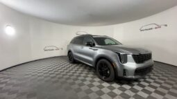 
 Kia Sorento Hybrid full									