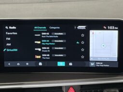 
 Kia Sorento Hybrid full									