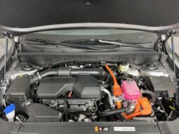 
 Kia Sorento Hybrid full									